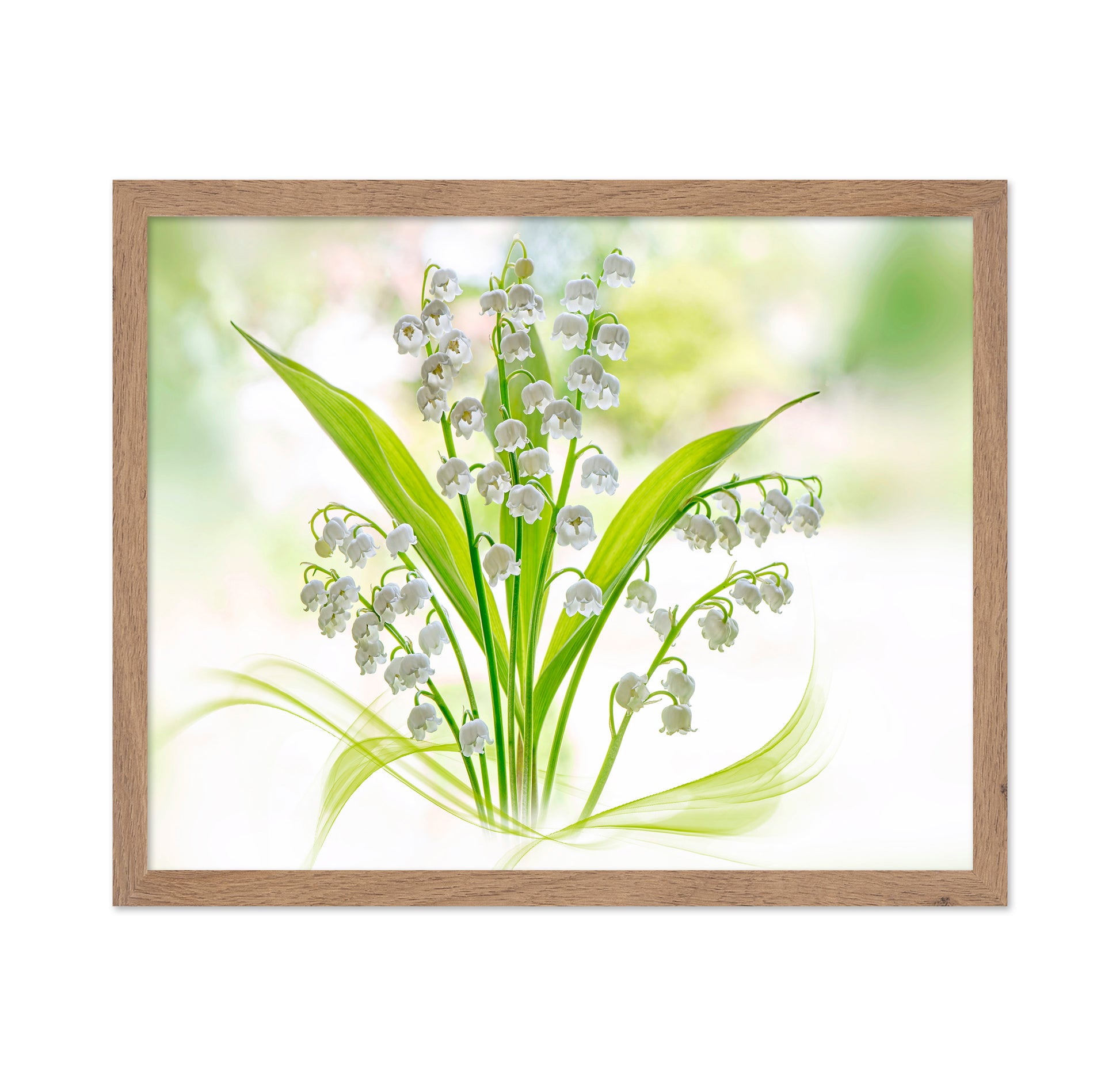 Lily Of The Valley