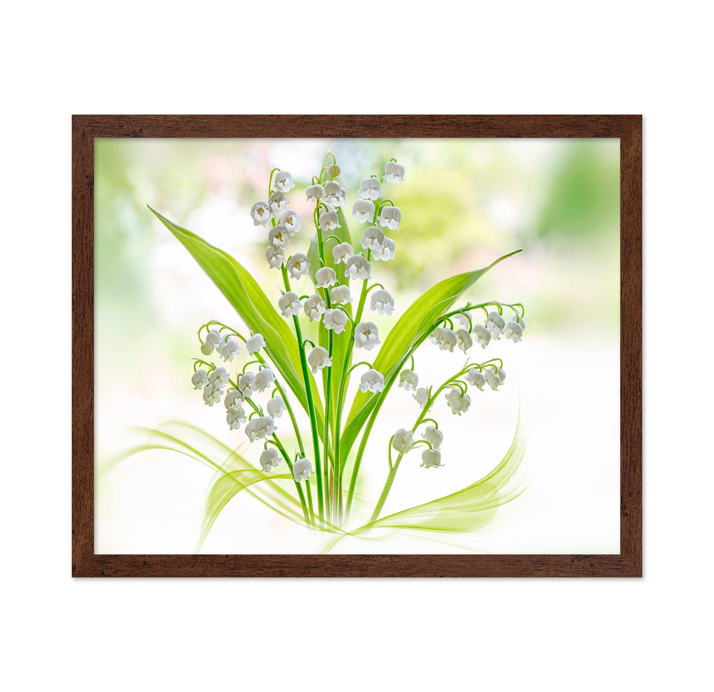 Lily Of The Valley