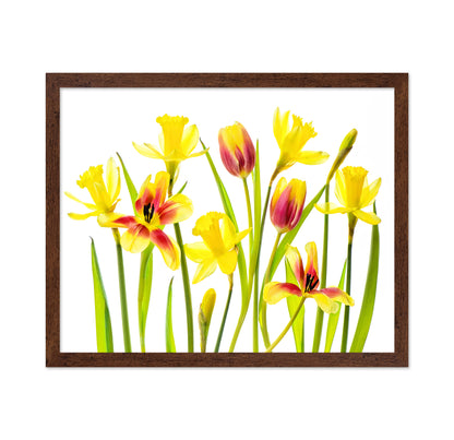 Vibrant Spring