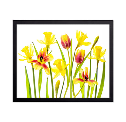 Vibrant Spring