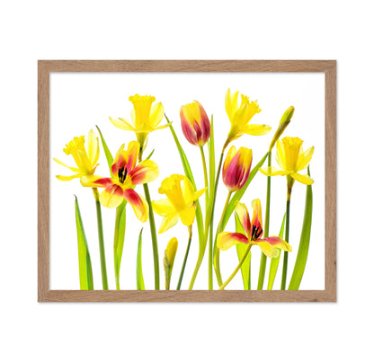 Vibrant Spring