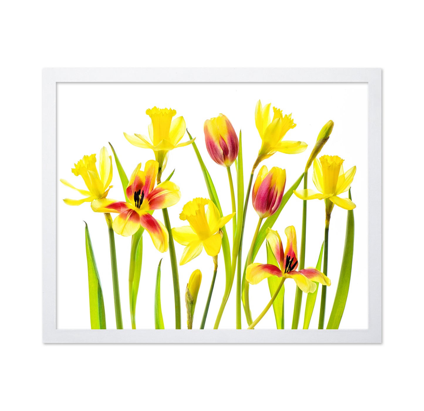 Vibrant Spring