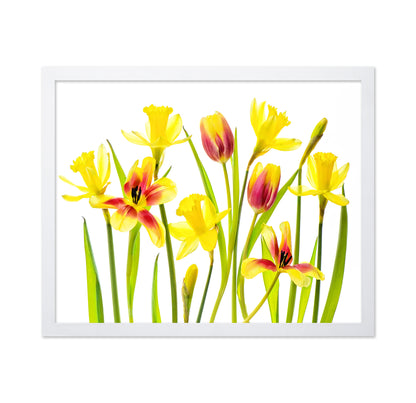 Vibrant Spring