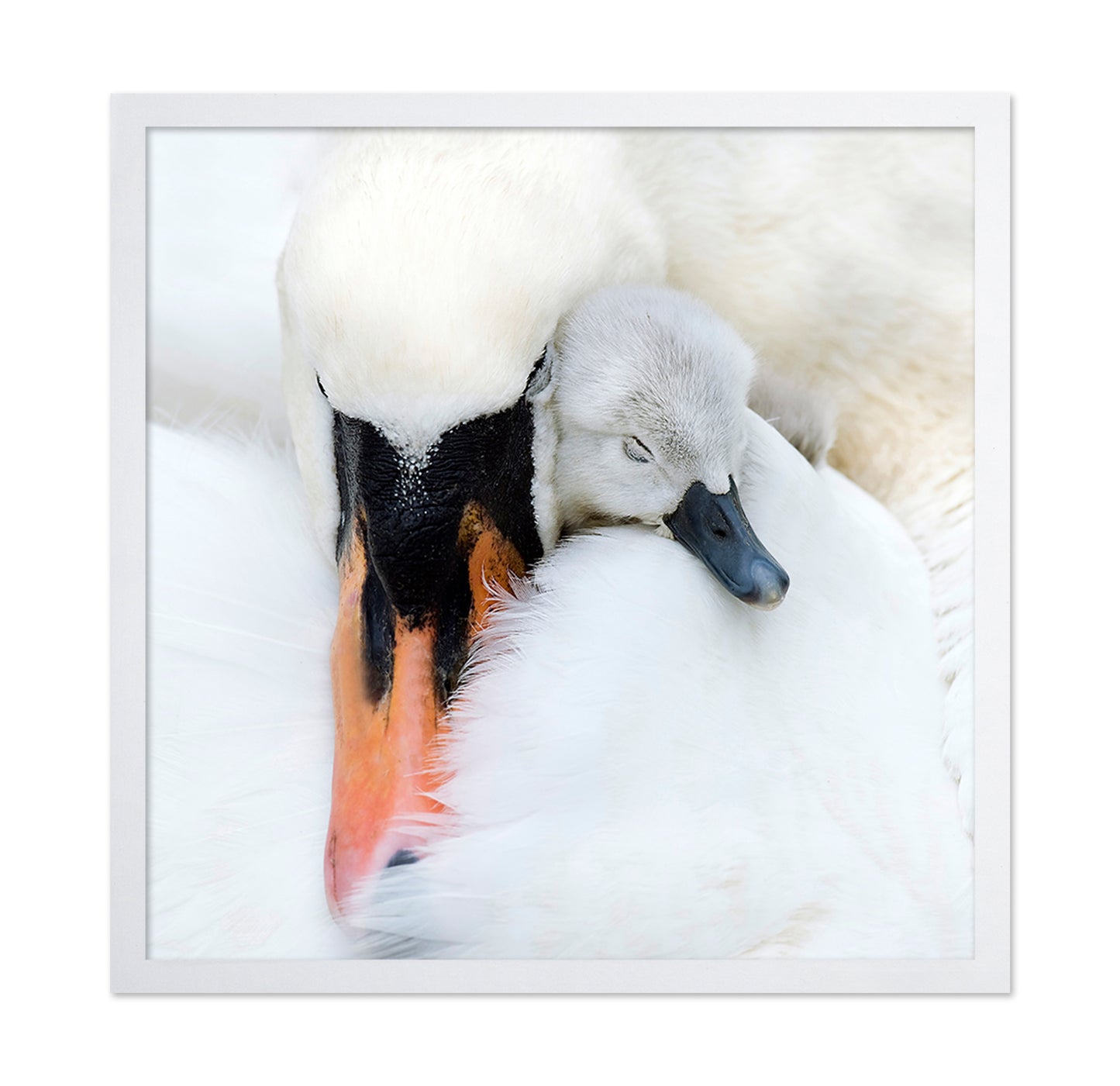 A Mother's Love
