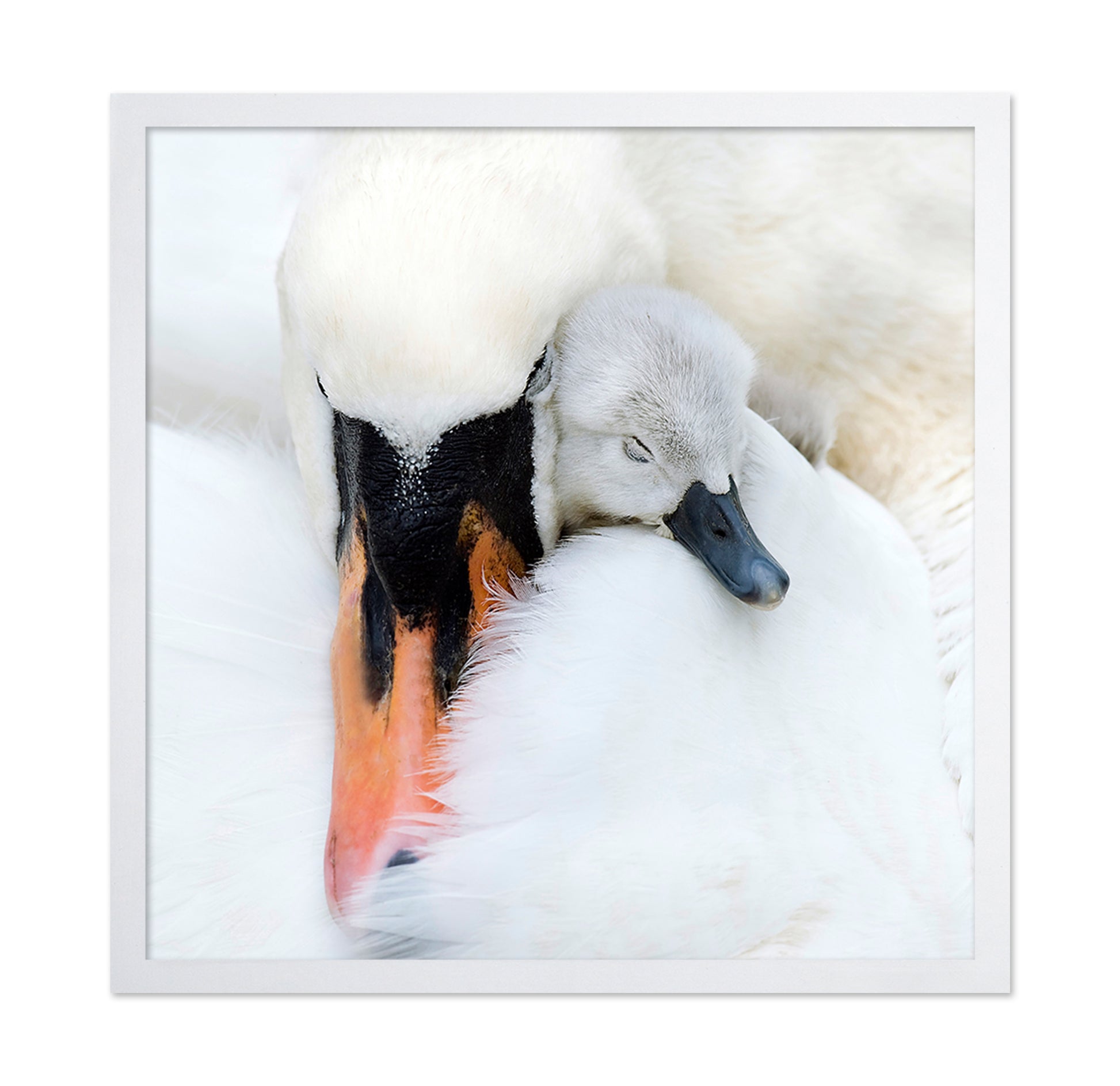 A Mother's Love