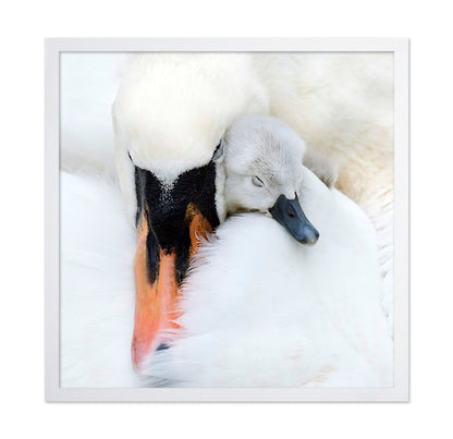 A Mother's Love