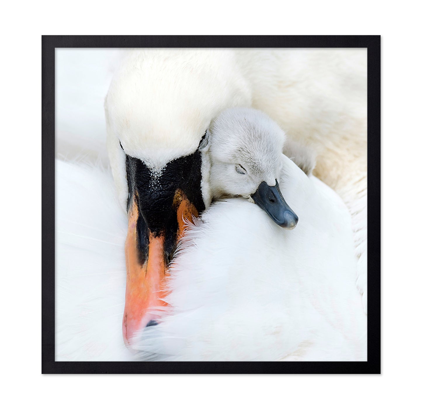 A Mother's Love