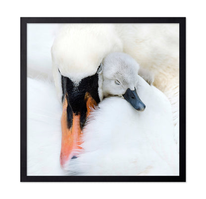 A Mother's Love