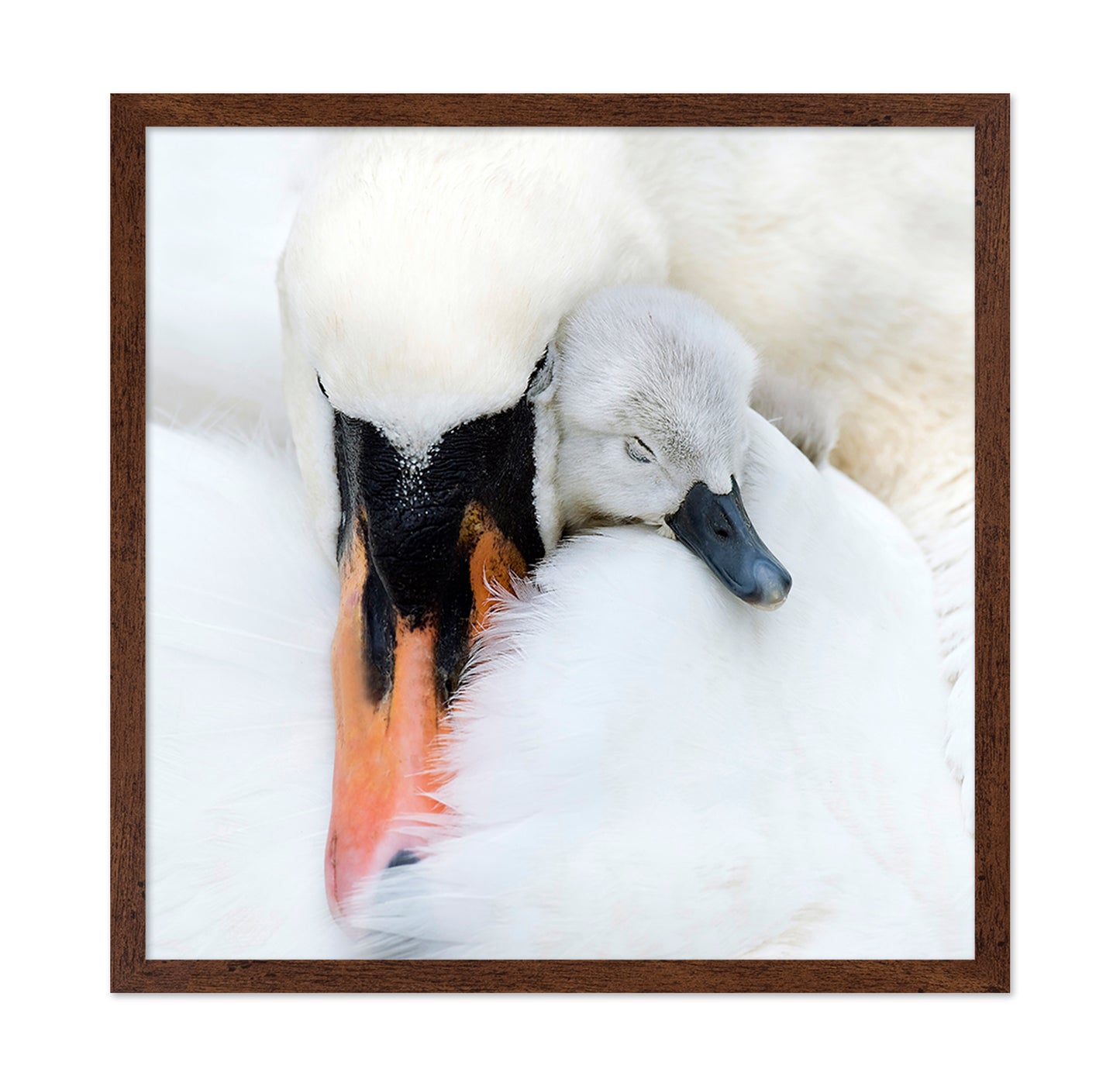 A Mother's Love