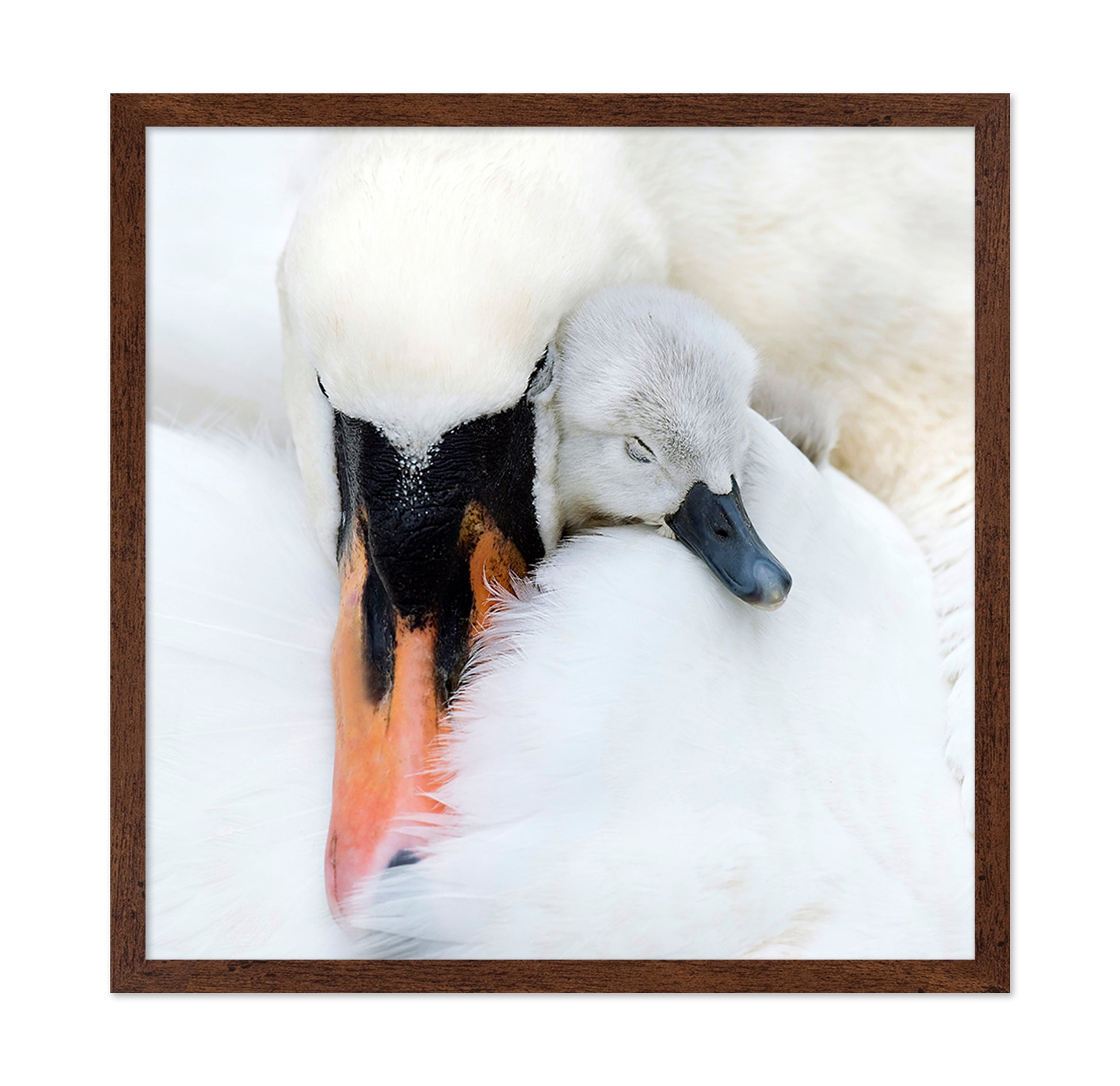 A Mother's Love