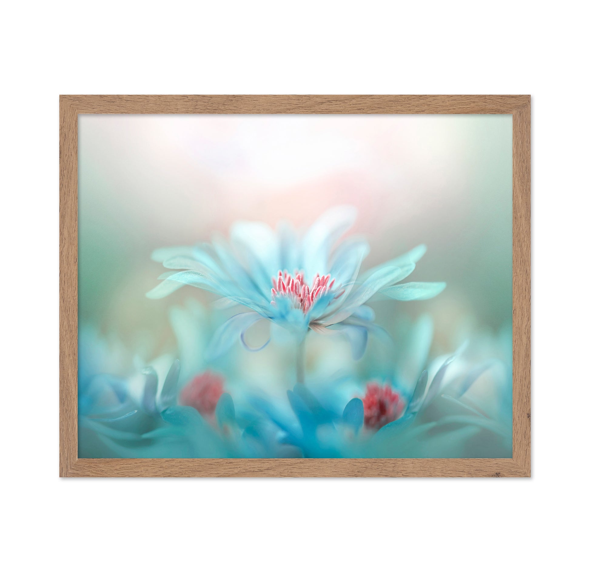 Delicate Blossoms in Pastel