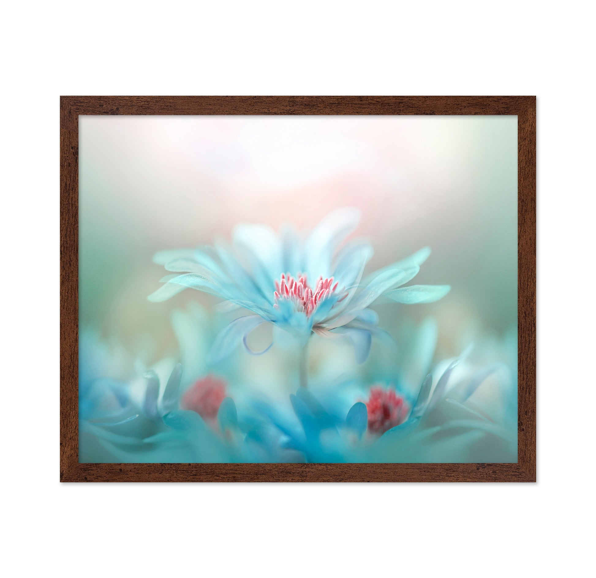 Delicate Blossoms in Pastel