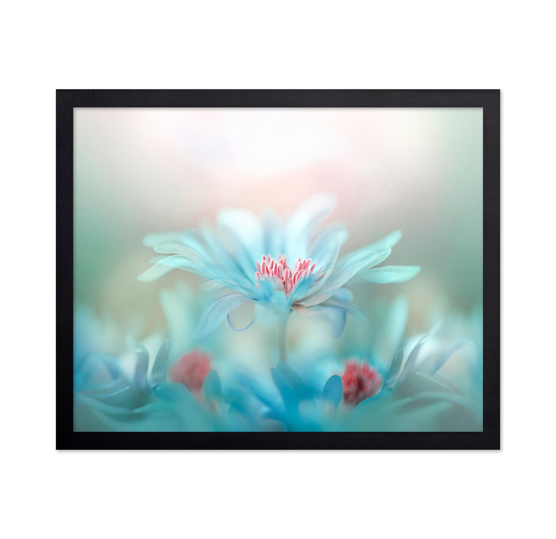 Delicate Blossoms in Pastel