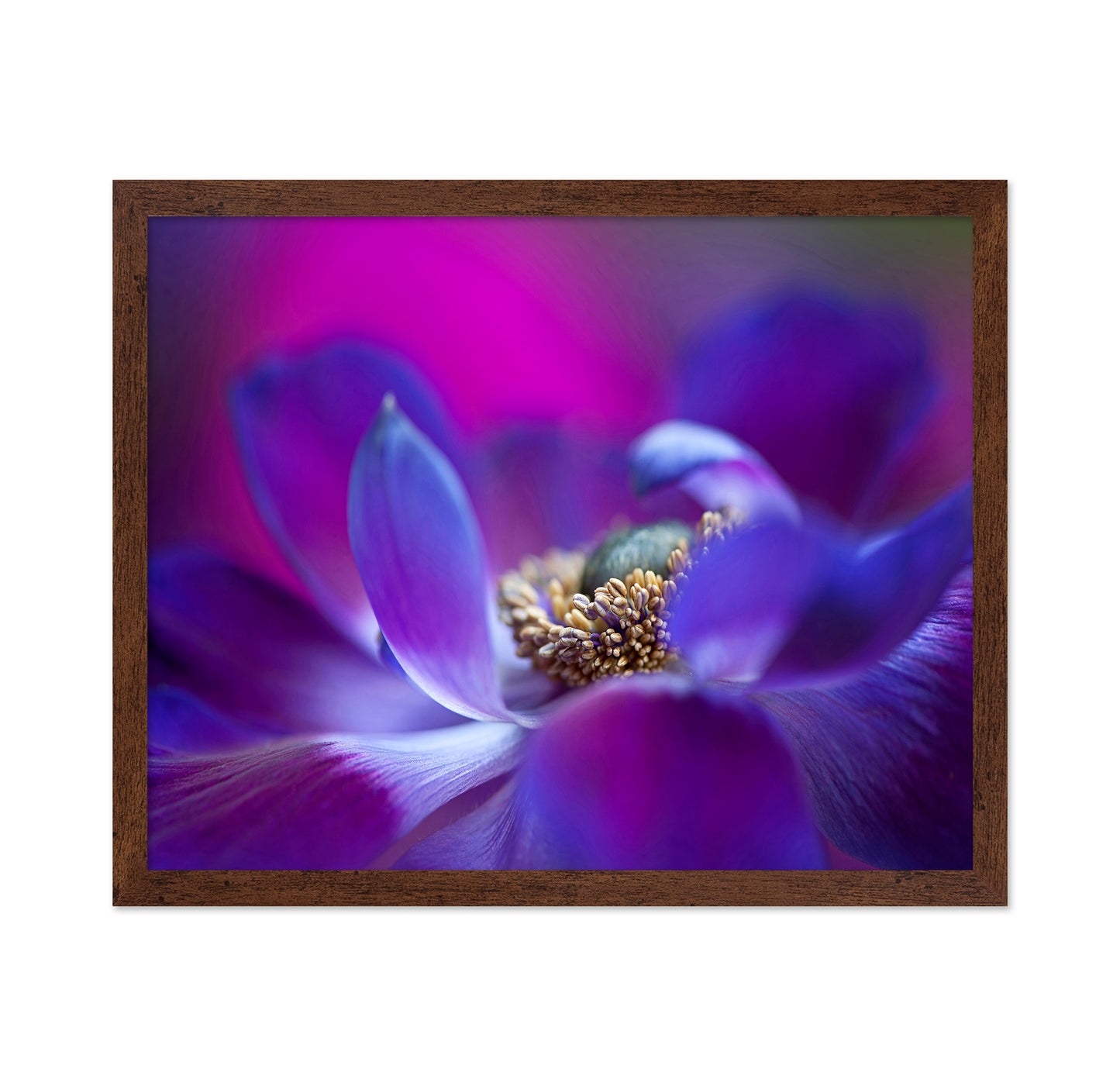 Windflower No 2
