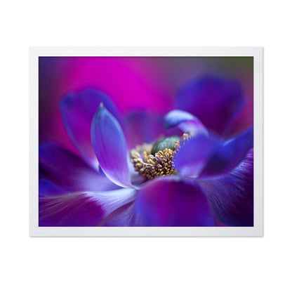 Windflower No 2