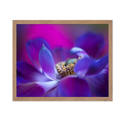 Windflower No 2