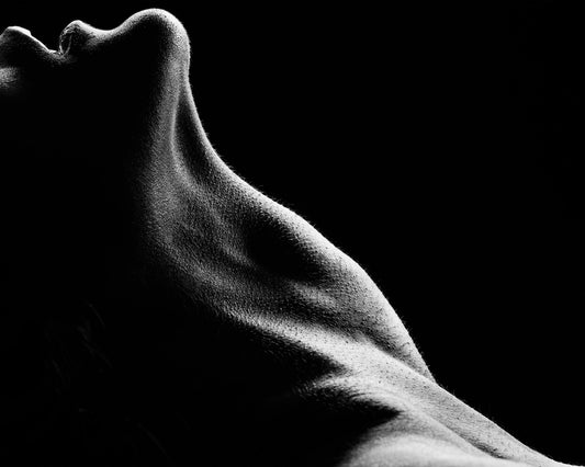 Bodies No 2