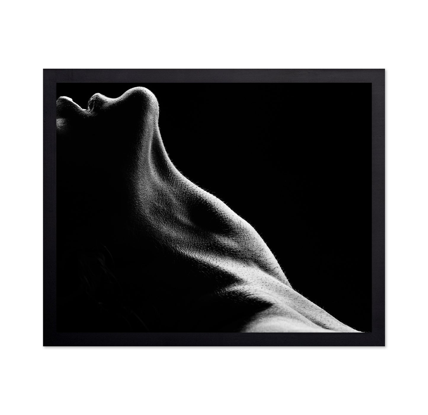 Bodies No 2
