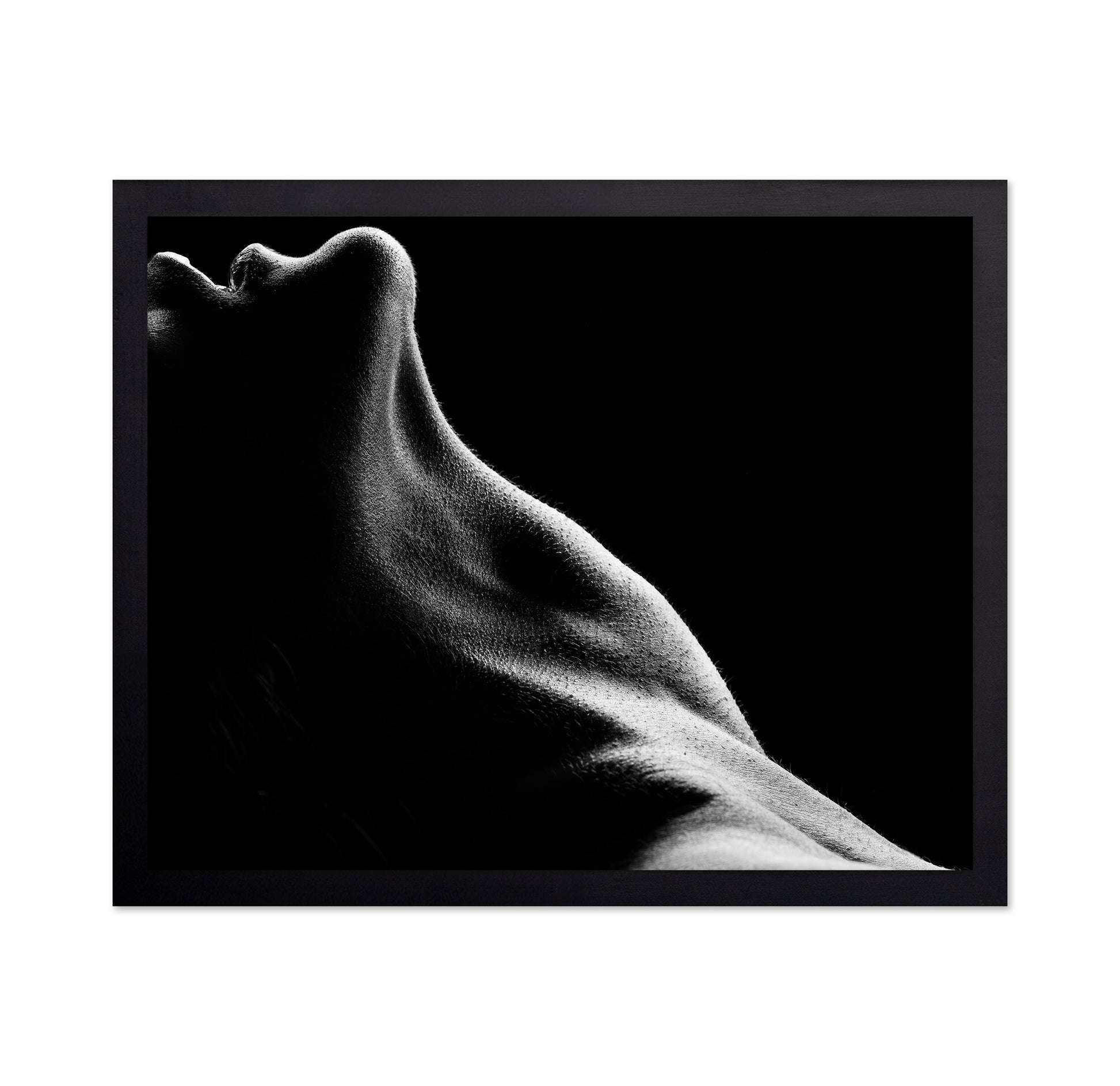 Bodies No 2