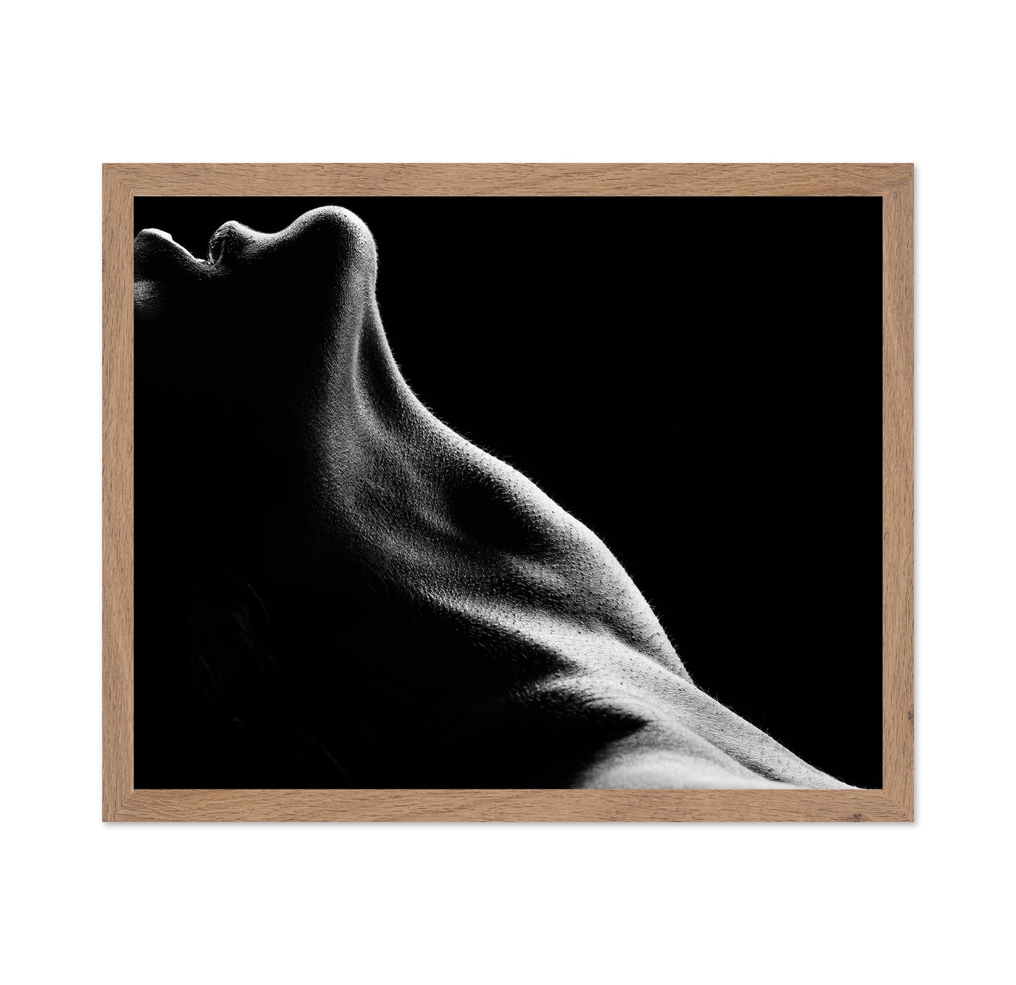 Bodies No 2