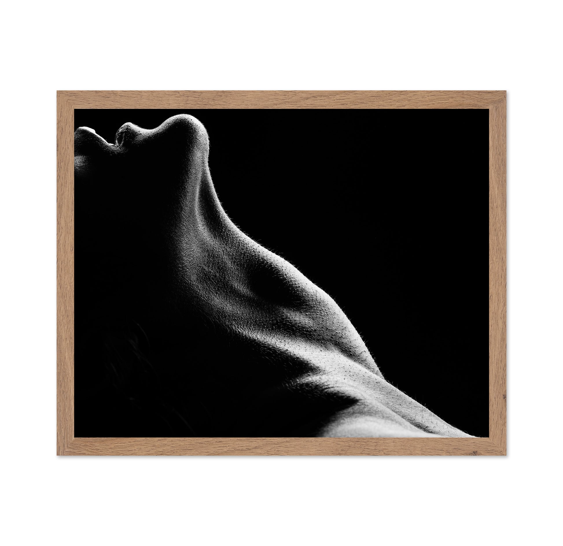 Bodies No 2
