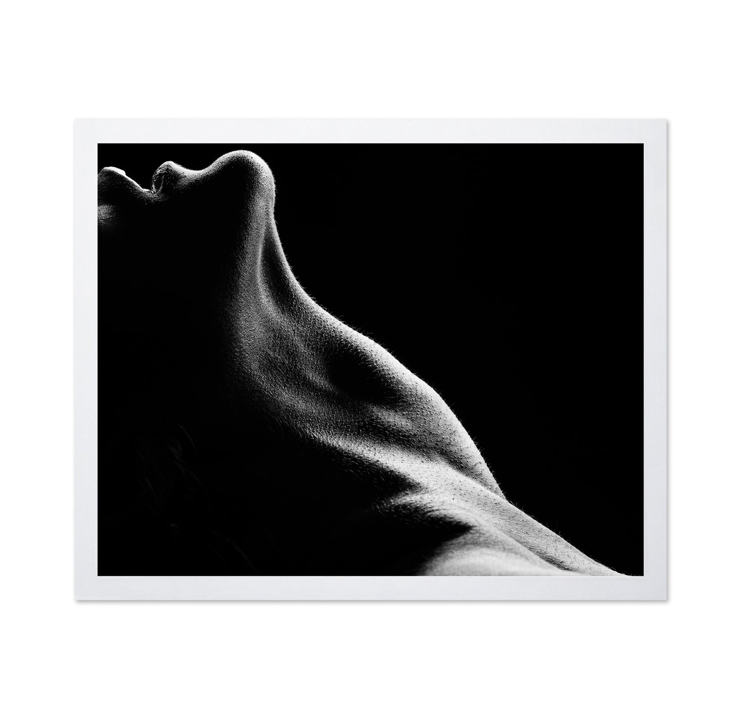 Bodies No 2