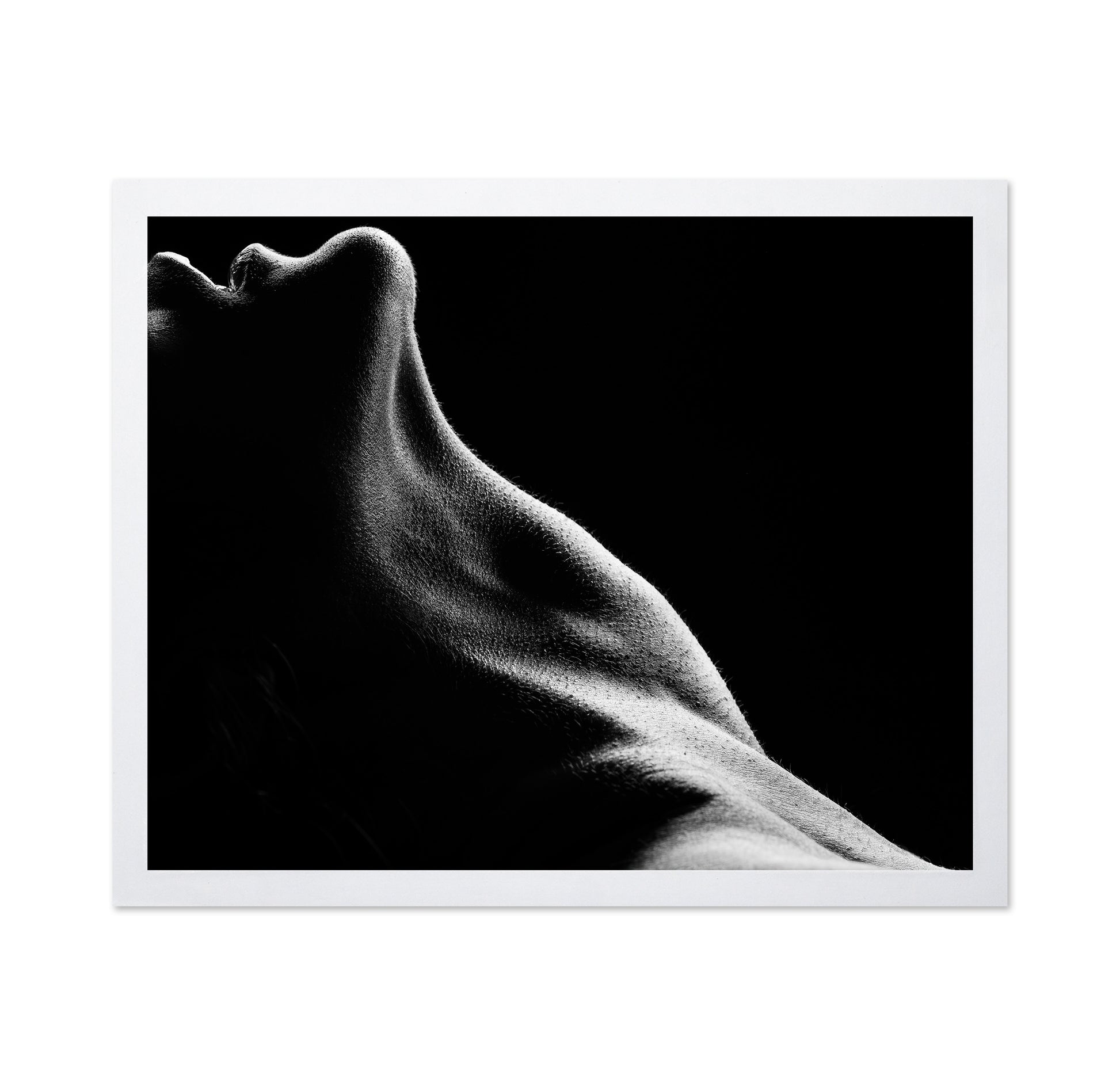 Bodies No 2