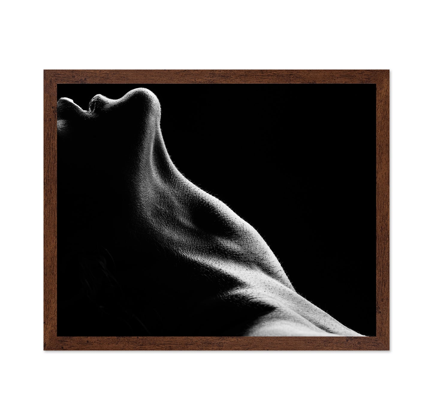 Bodies No 2