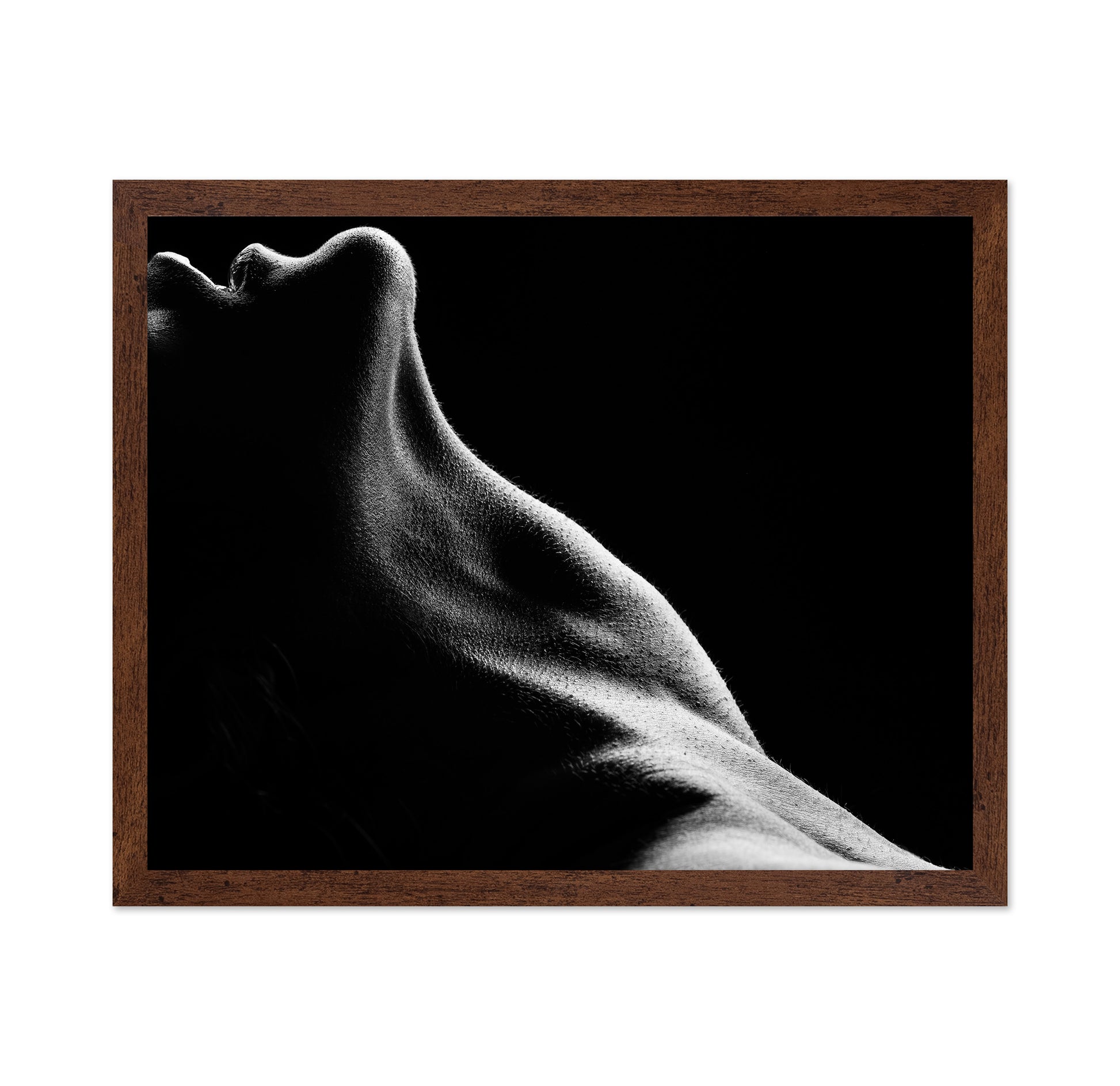 Bodies No 2