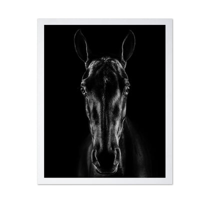 The Horse in Noir