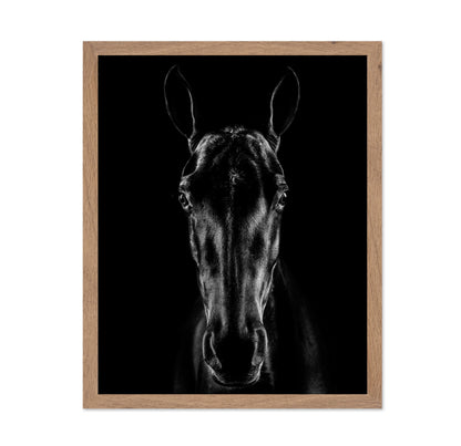 The Horse in Noir
