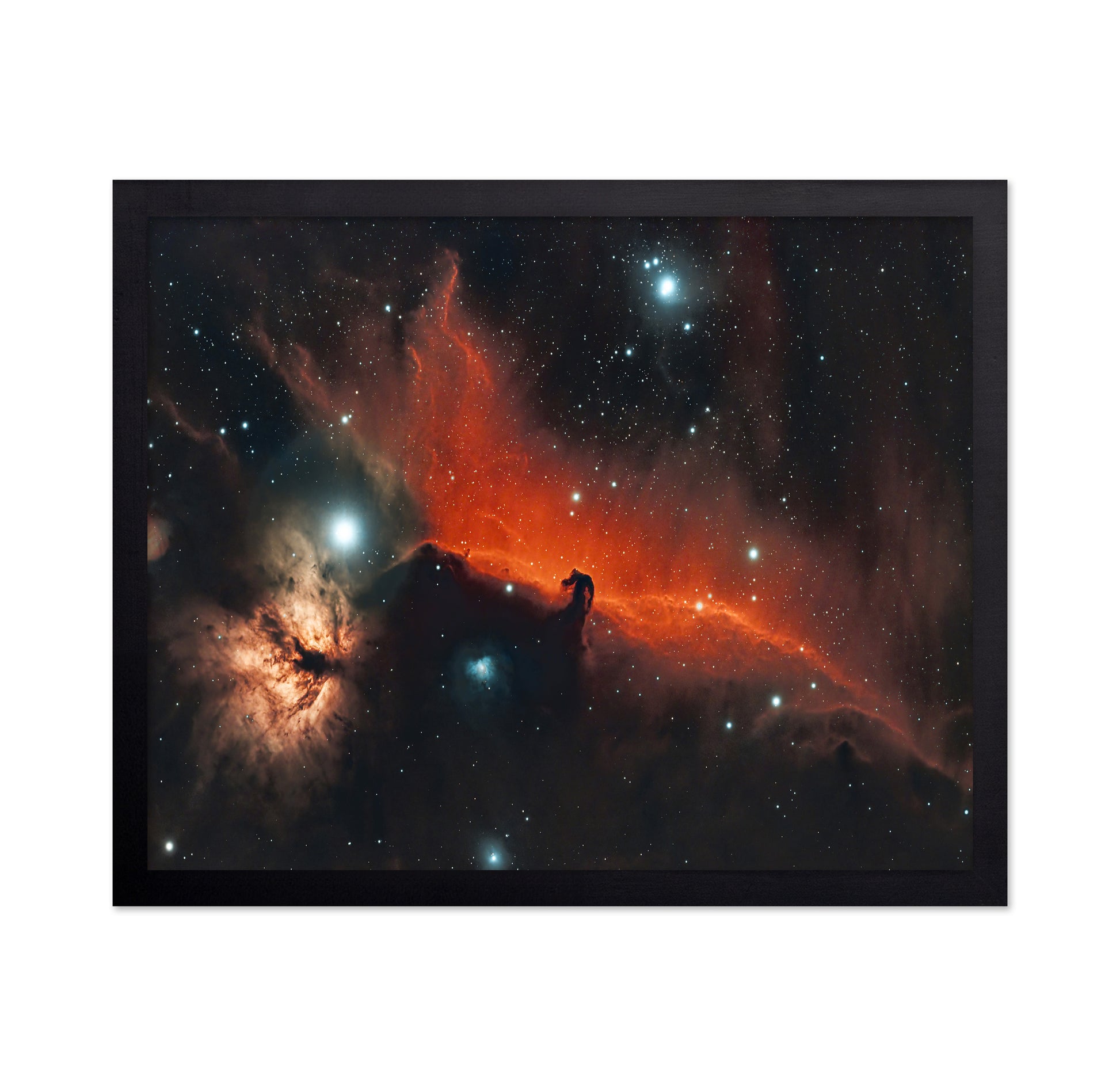 Horsehead and Flame Nebula