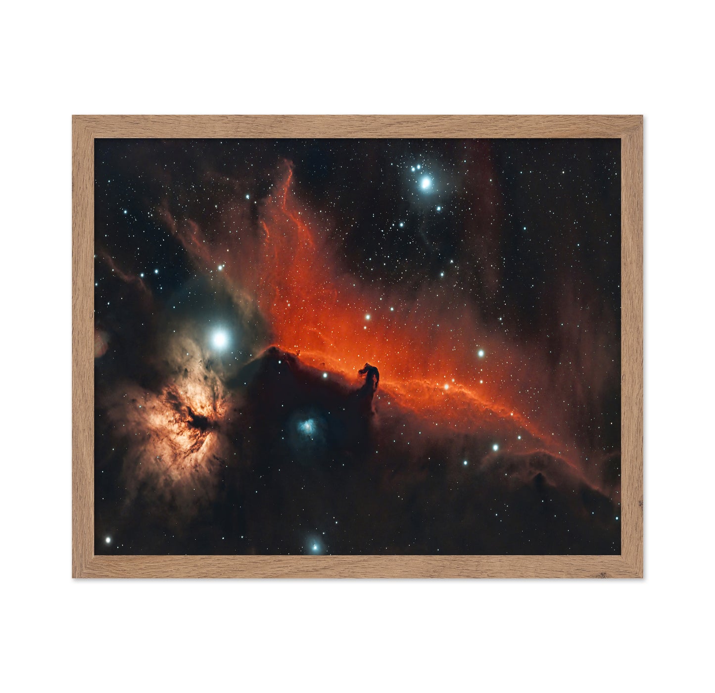 Horsehead and Flame Nebula