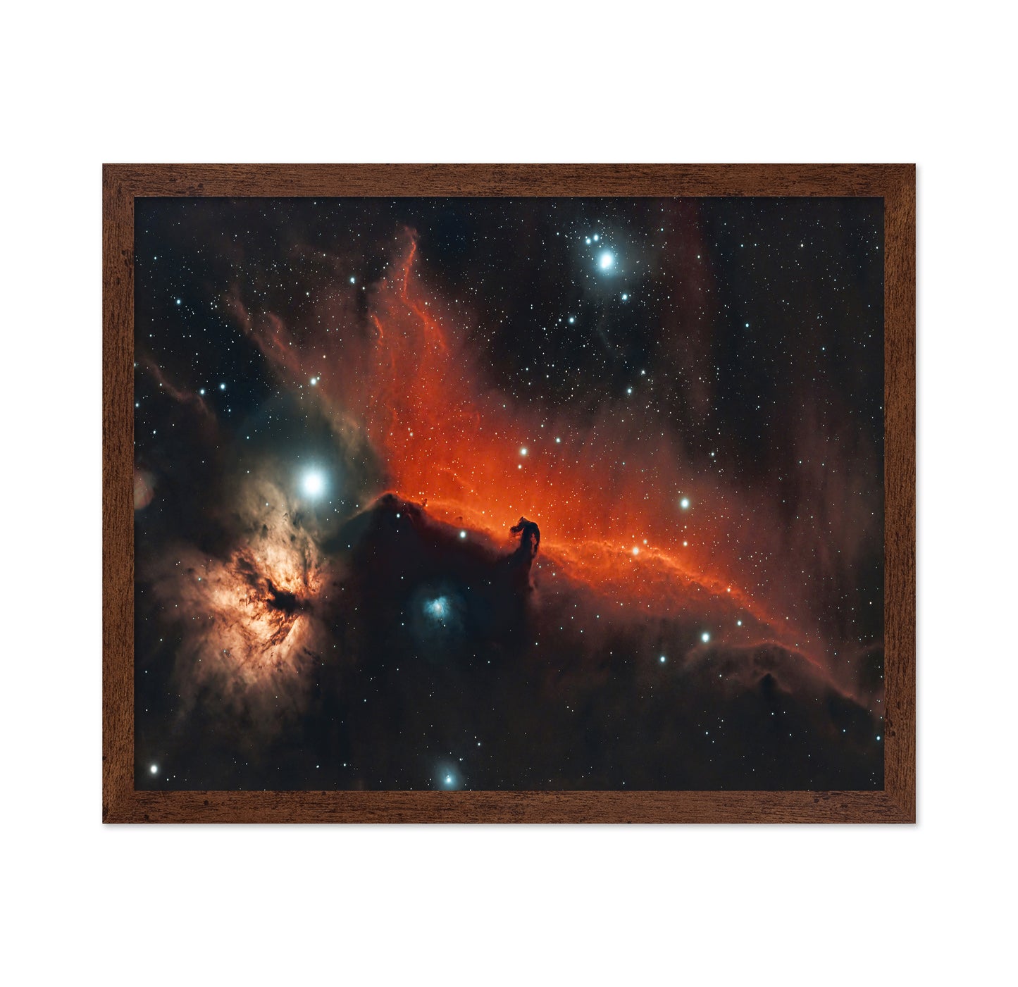Horsehead and Flame Nebula