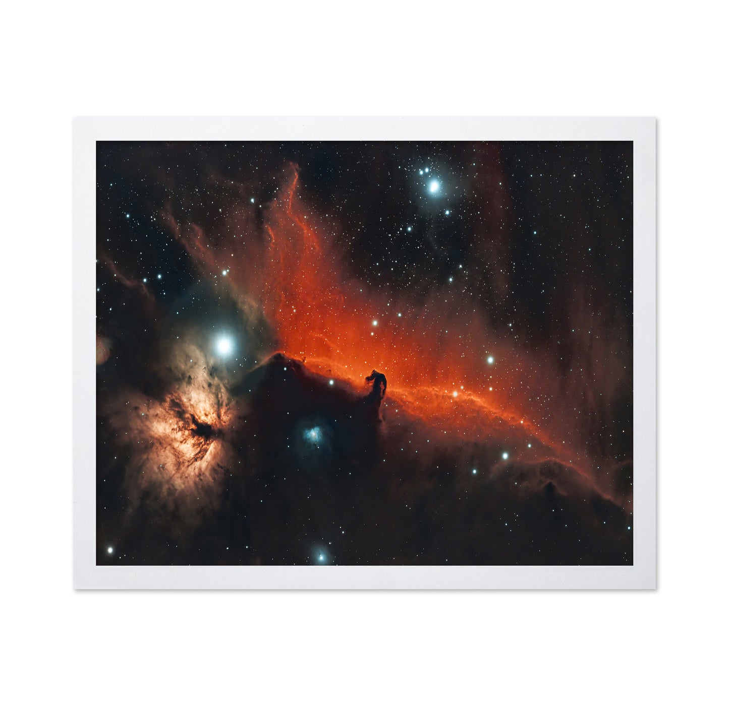 Horsehead and Flame Nebula