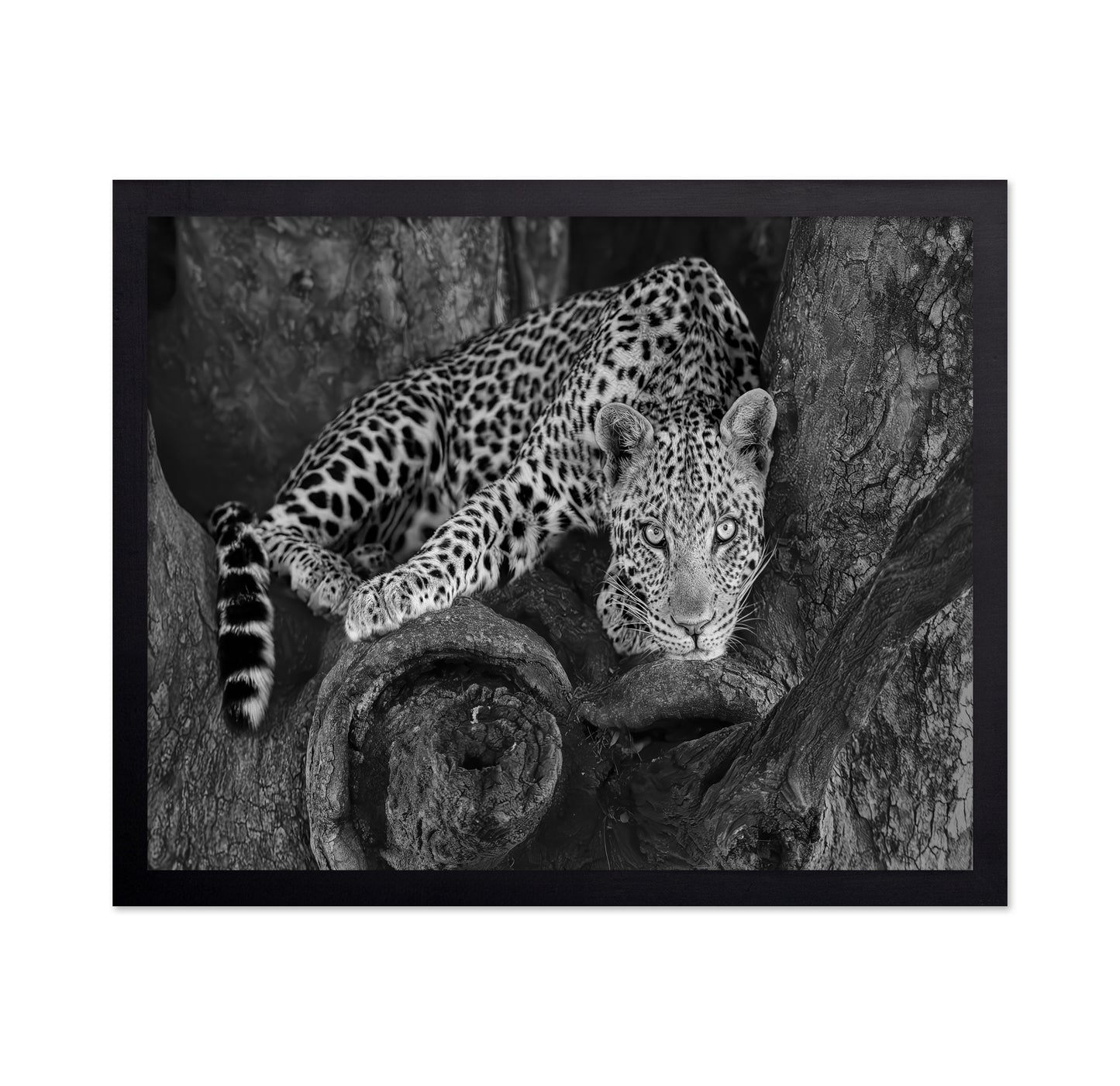 Leopard on A Tree