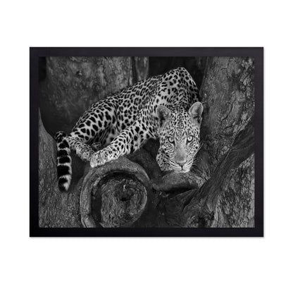 Leopard on A Tree