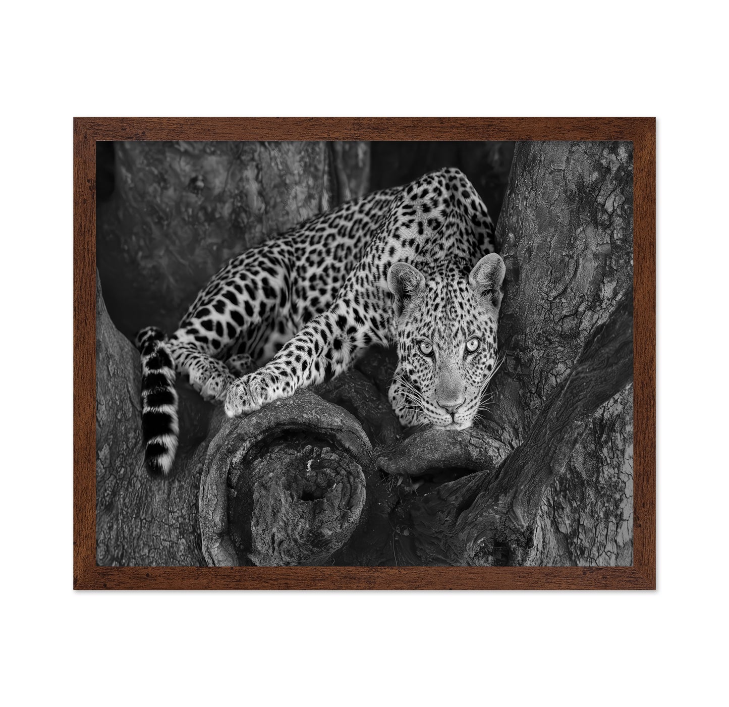 Leopard on A Tree