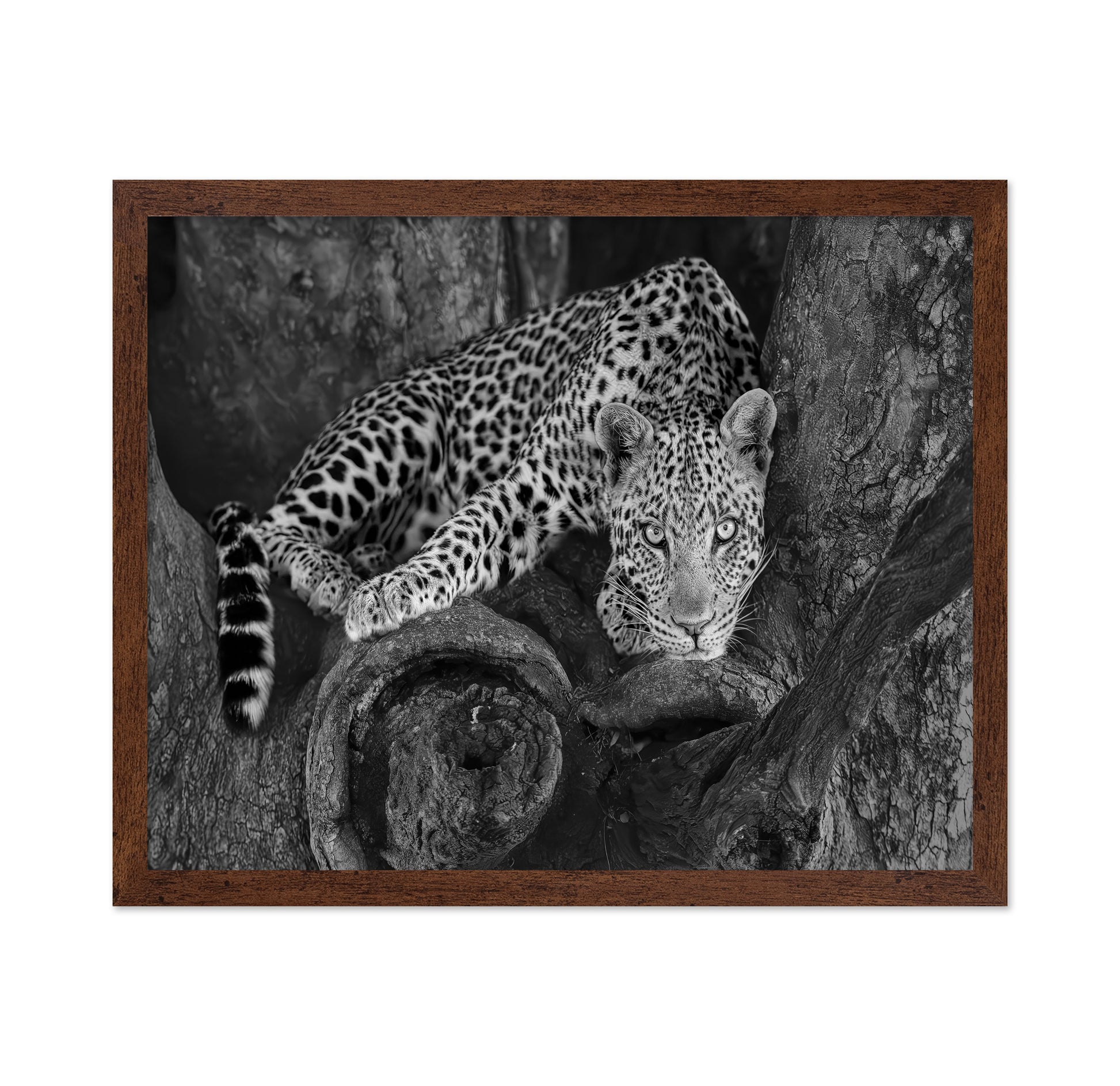 Leopard on A Tree