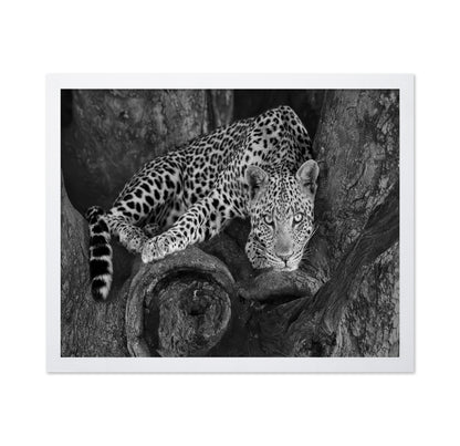 Leopard on A Tree