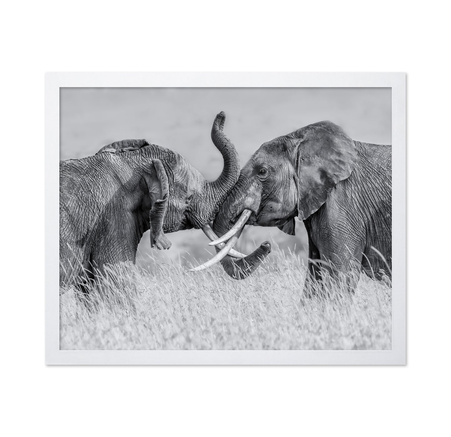 Elephant Tai Chi