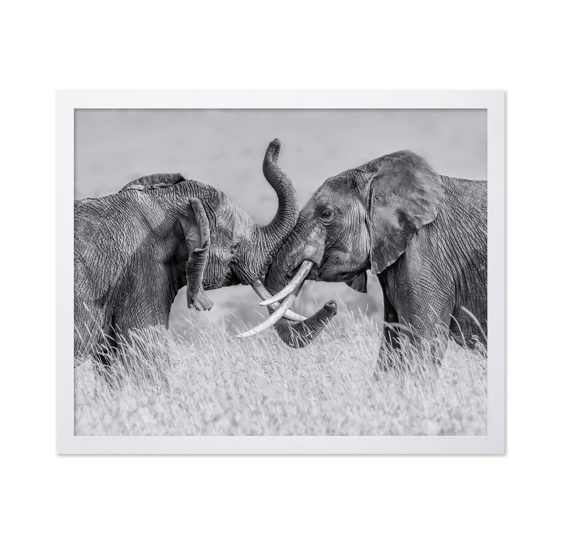 Elephant Tai Chi