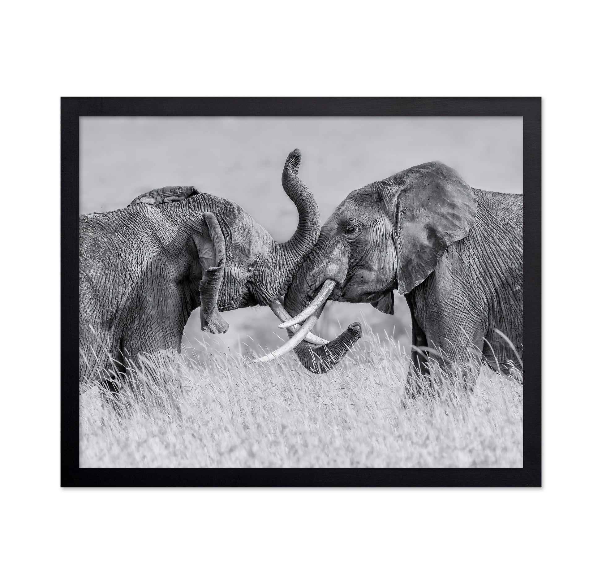 Elephant Tai Chi