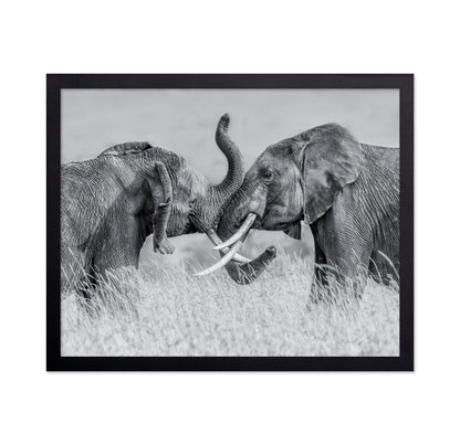 Elephant Tai Chi