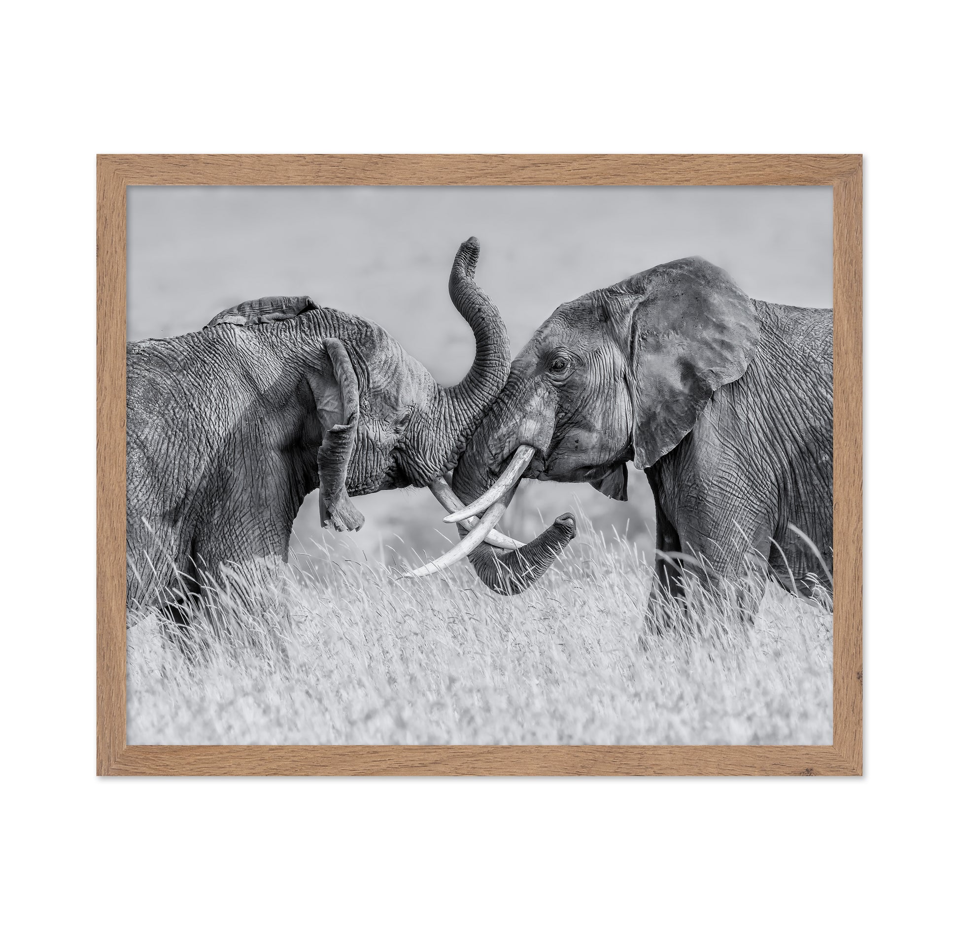 Elephant Tai Chi