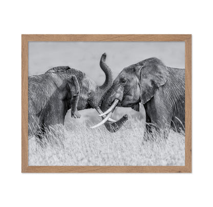 Elephant Tai Chi