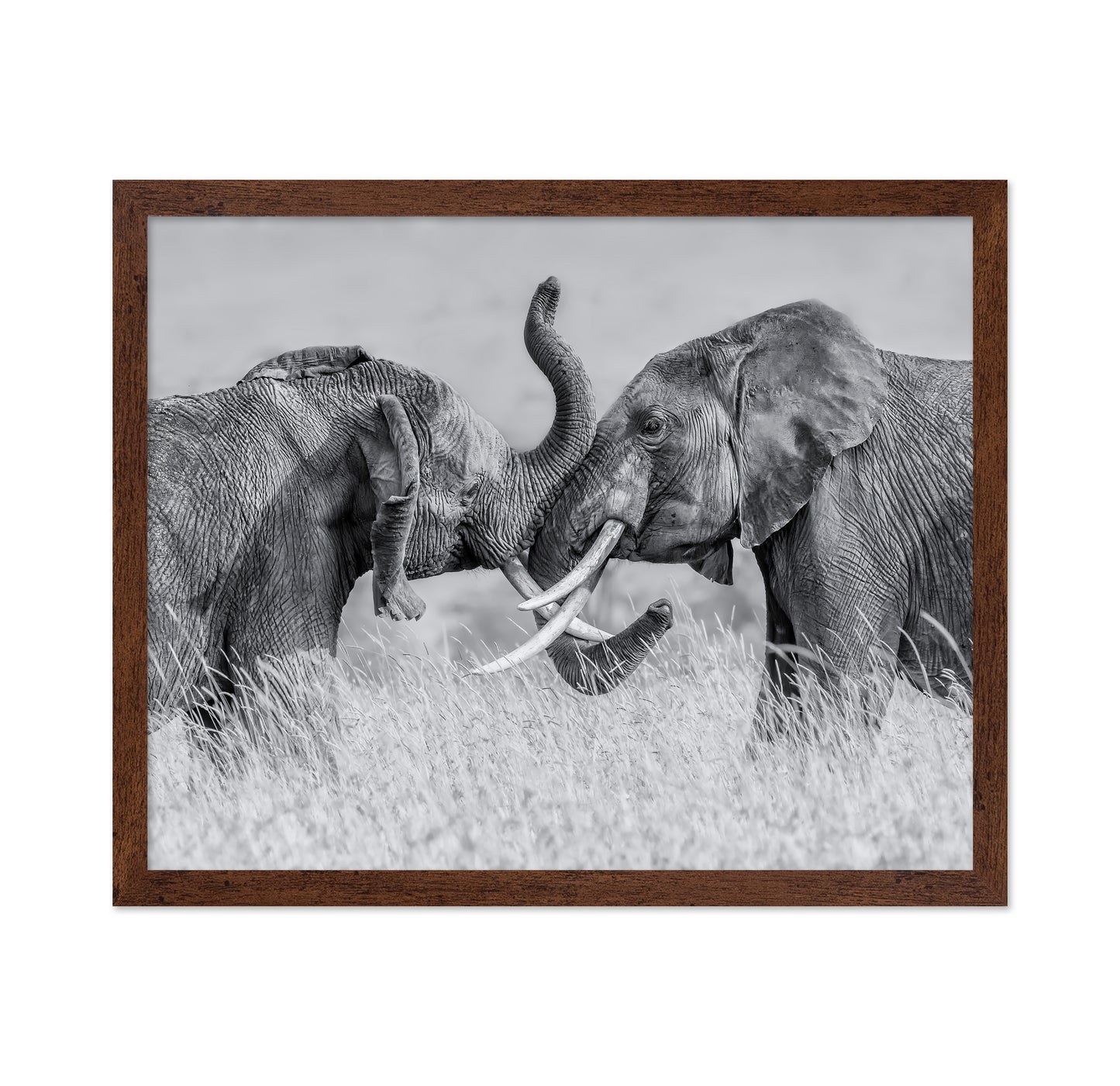Elephant Tai Chi