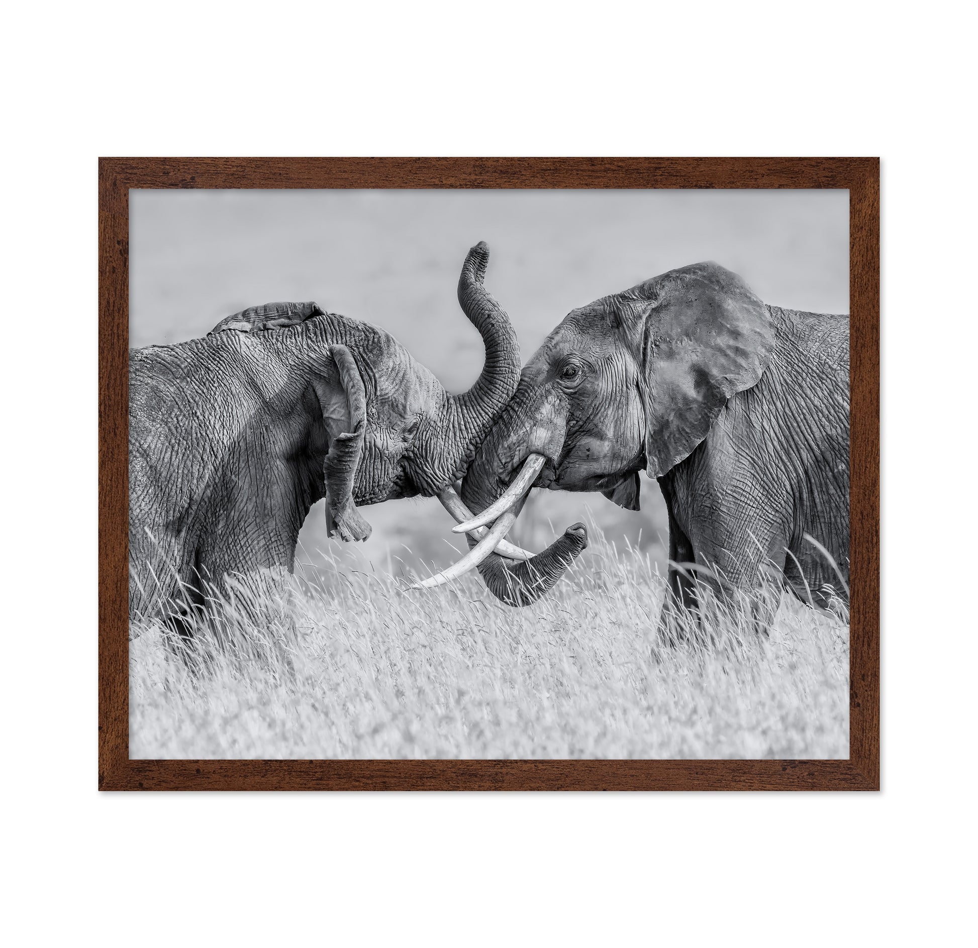 Elephant Tai Chi