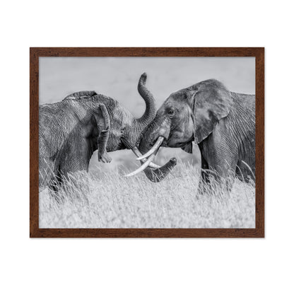 Elephant Tai Chi