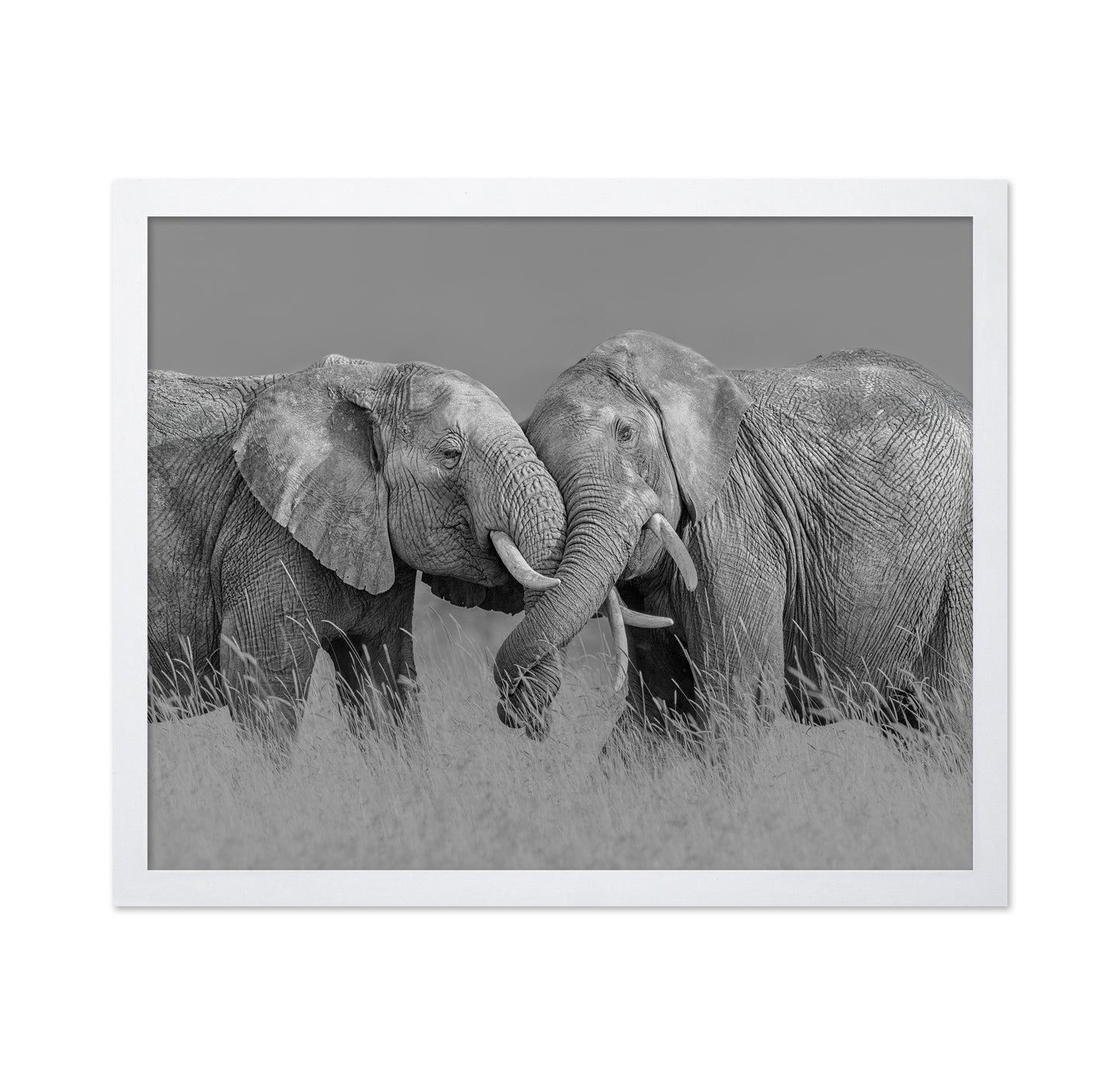 Elephant Flight
